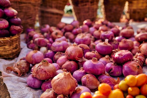 How are UK kitchens evolving to meet the needs of busy families?